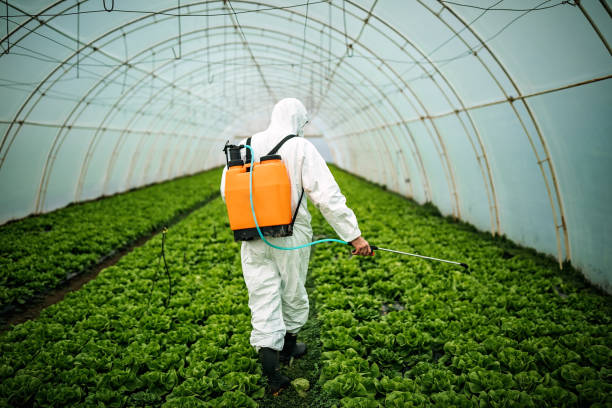 Best Affordable Pest Control Services  in Zelienople, PA