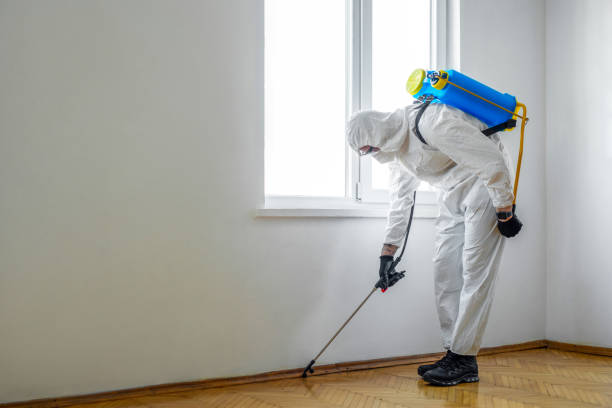 Pest Control for Restaurants in Zelienople, PA